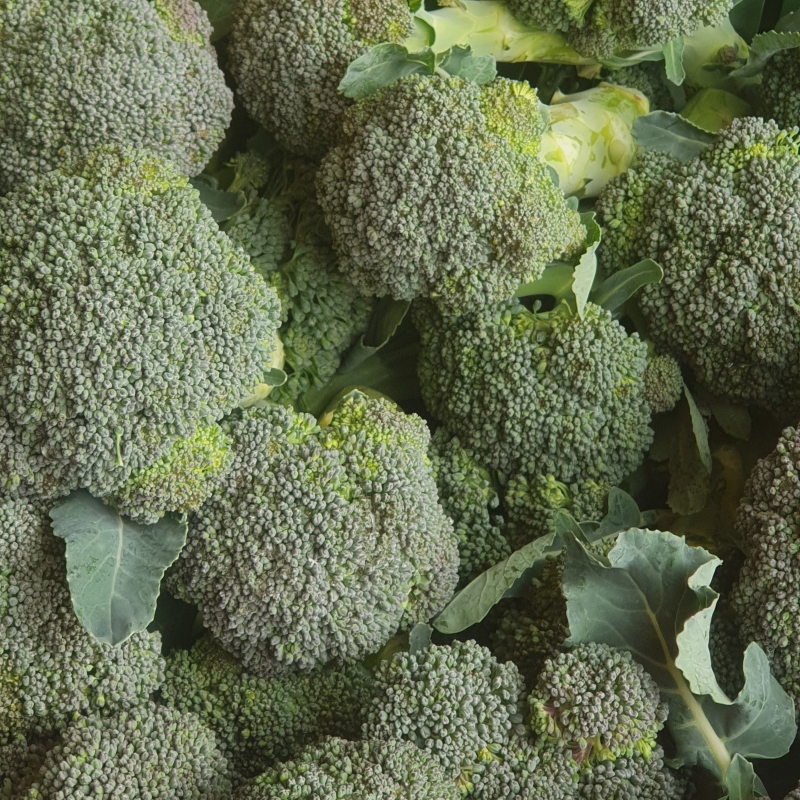 BROCOLI - Bio-Wäberhof