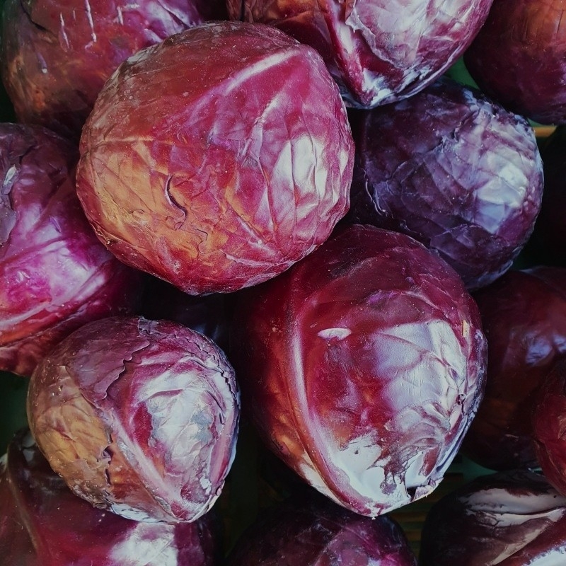 CHOU ROUGE - Bio-Wäberhof