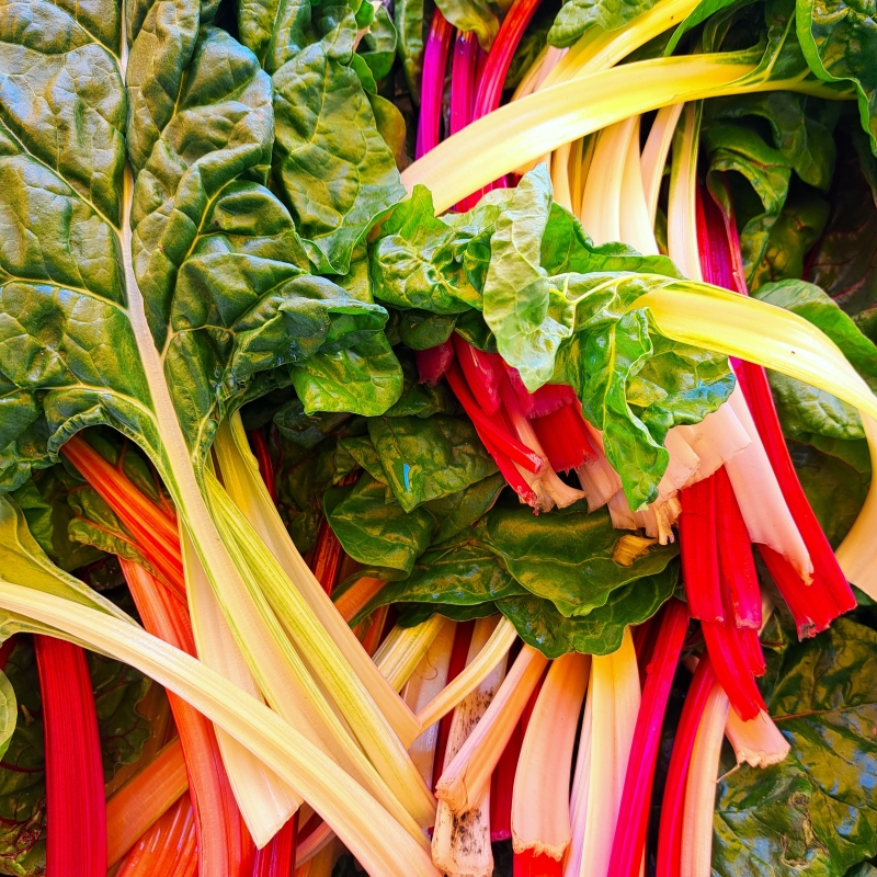 CÔTES DE BETTE ROUGES - Bio-Wäberhof