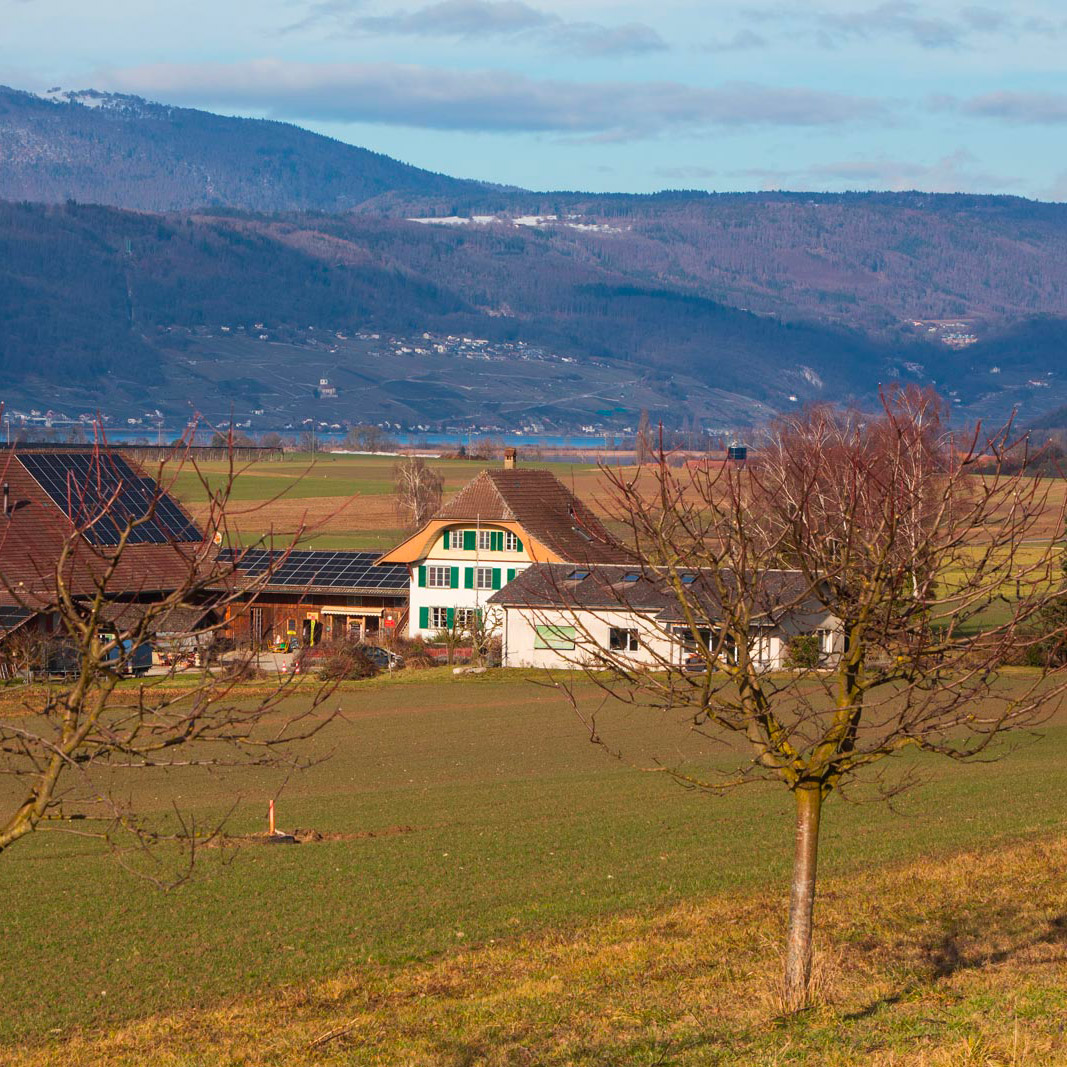Bio Wäberhof Ins Seeland