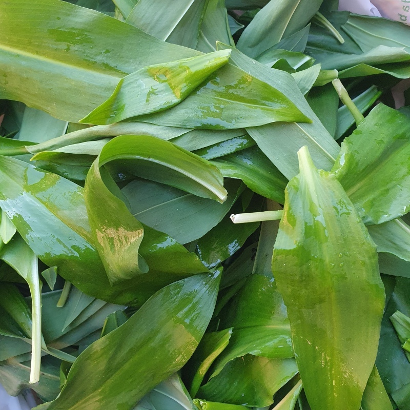 AIL DES OURS - Bio-Wäberhof