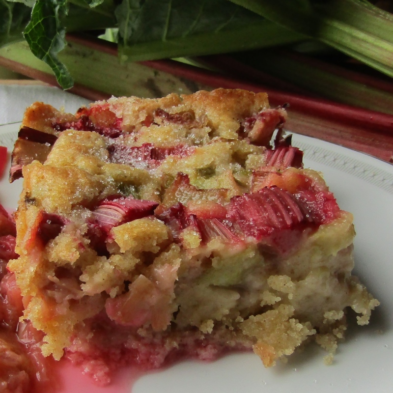 Gâteau molleux à la rhubarbe